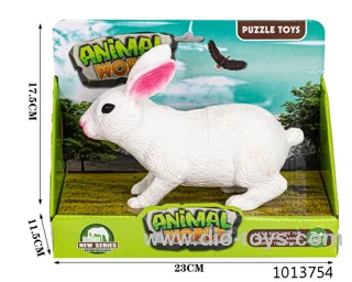 animal set in color box