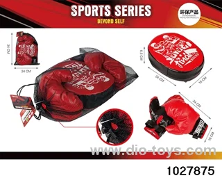 Boxing Gloves in Net bag