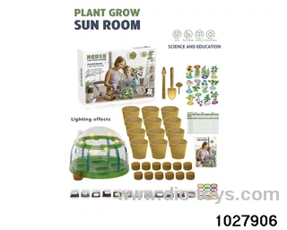 Children's planting sunroom in color box