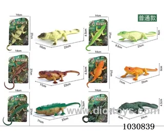 8 inch lizard  6 mixed in Tied On Card