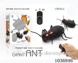 Infrared RC ant in window box
