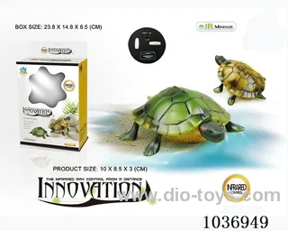 RC  turtle 2color mixed loading in window box