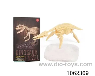 Archaeological dinosaur fossils