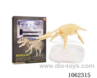 Archaeological dinosaur fossils