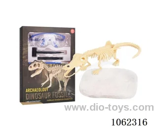 Archaeological dinosaur fossils