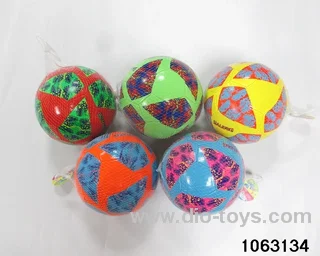 9 inch football in Net bag