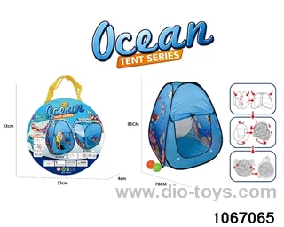 tents set in Hand bag