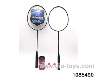 Badminton Set in Net bag