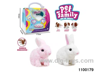 Electric Plush Toys in paper card