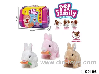 Electric Plush Toys in paper card