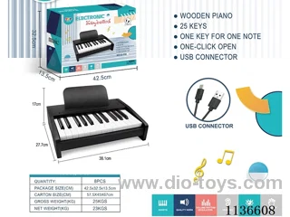 25 Keys Acoustic Electric Piano with USB Connection Cable (Black)