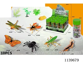 Insects 12 Tins Set