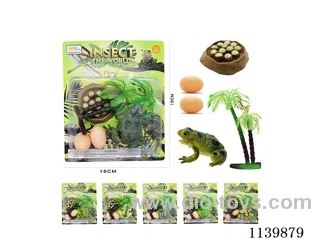 Frog Scene(5PCS)