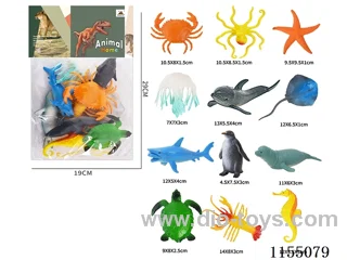 5’ Ocean 12pcs