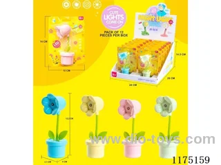 Flower night light (package)