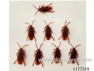 Little cockroach