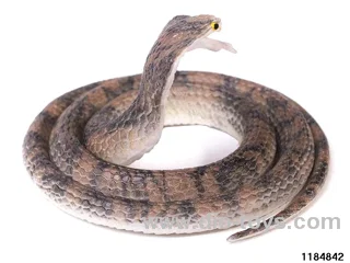 70cm Soft Rubber Snake
