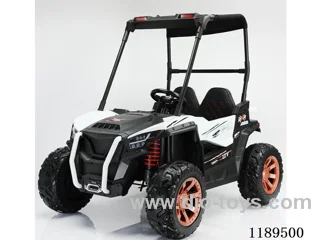 Kids Two Seater Terrain Vehicle with Canopy