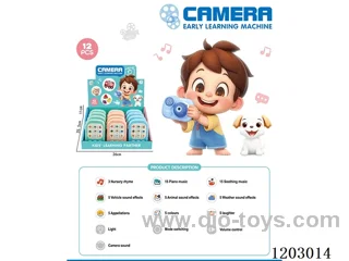Projection Camera