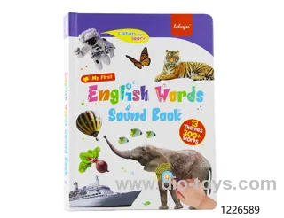 talking book