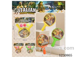 Ping-pong set