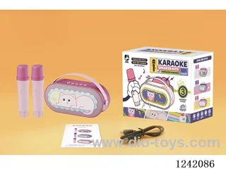 Dual Microphone Karaoke Set