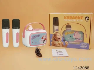 Dual Microphone Karaoke Set