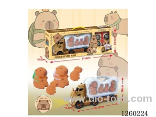 Projection Self-Installation Kit with Sound