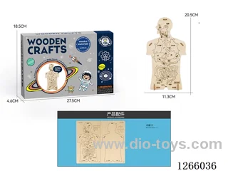Wooden Educational Experiment - Human Digestion (24PCS)