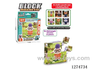 Magnetic Block Puzzles