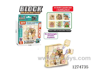 Magnetic Block Puzzles