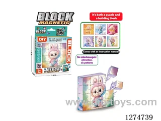 Magnetic Block Puzzles
