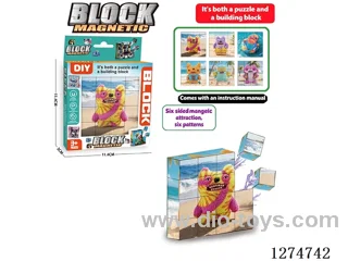 Magnetic Block Puzzles