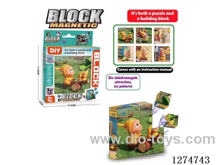 Magnetic Block Puzzles