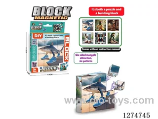 Magnetic Block Puzzles