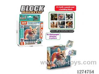 Magnetic Block Puzzles