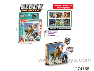 Magnetic Block Puzzles