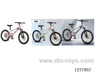 22inch Children's Bicycles