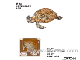 Turtle /Model