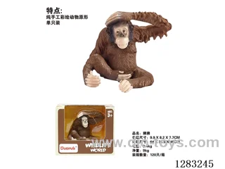Baboon /Model