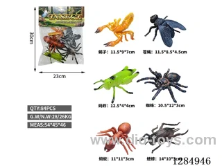 6 Large Insects
