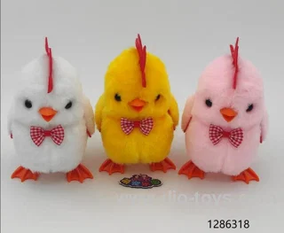 chicken