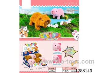 B/O pet toys 6PCS