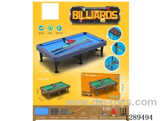 Large Fun Pool Table