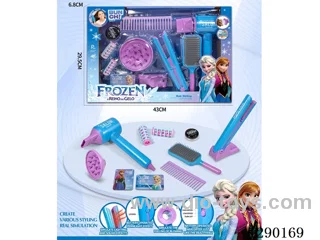 Hair Salon Hair Dryer and Straightener Set (12PCS)