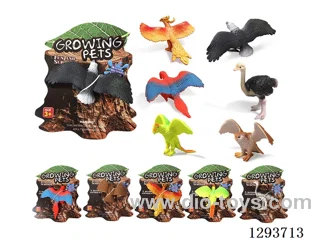 Water-Activated Expanding Animals