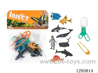 Educational Observation Clips with 8 Marine Creatures