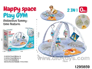 2-in-1 Baby Gym Mat in color box