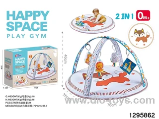 2-in-1 Baby Gym Mat in color box