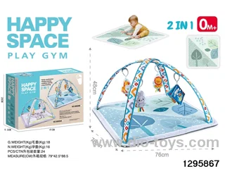 2-in-1 Baby Gym Mat in color box